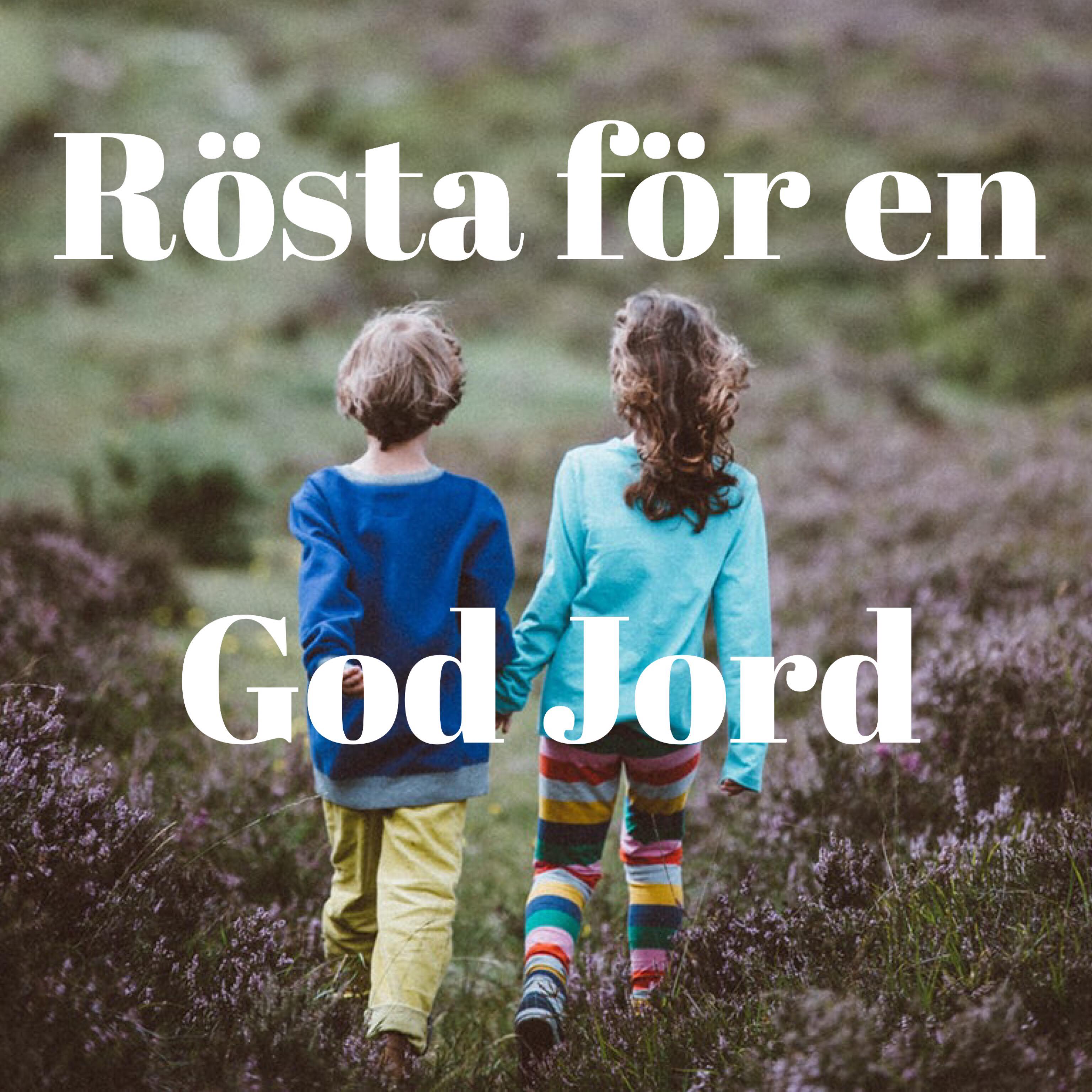 60362397_454474751791251_4623823827934117888_n