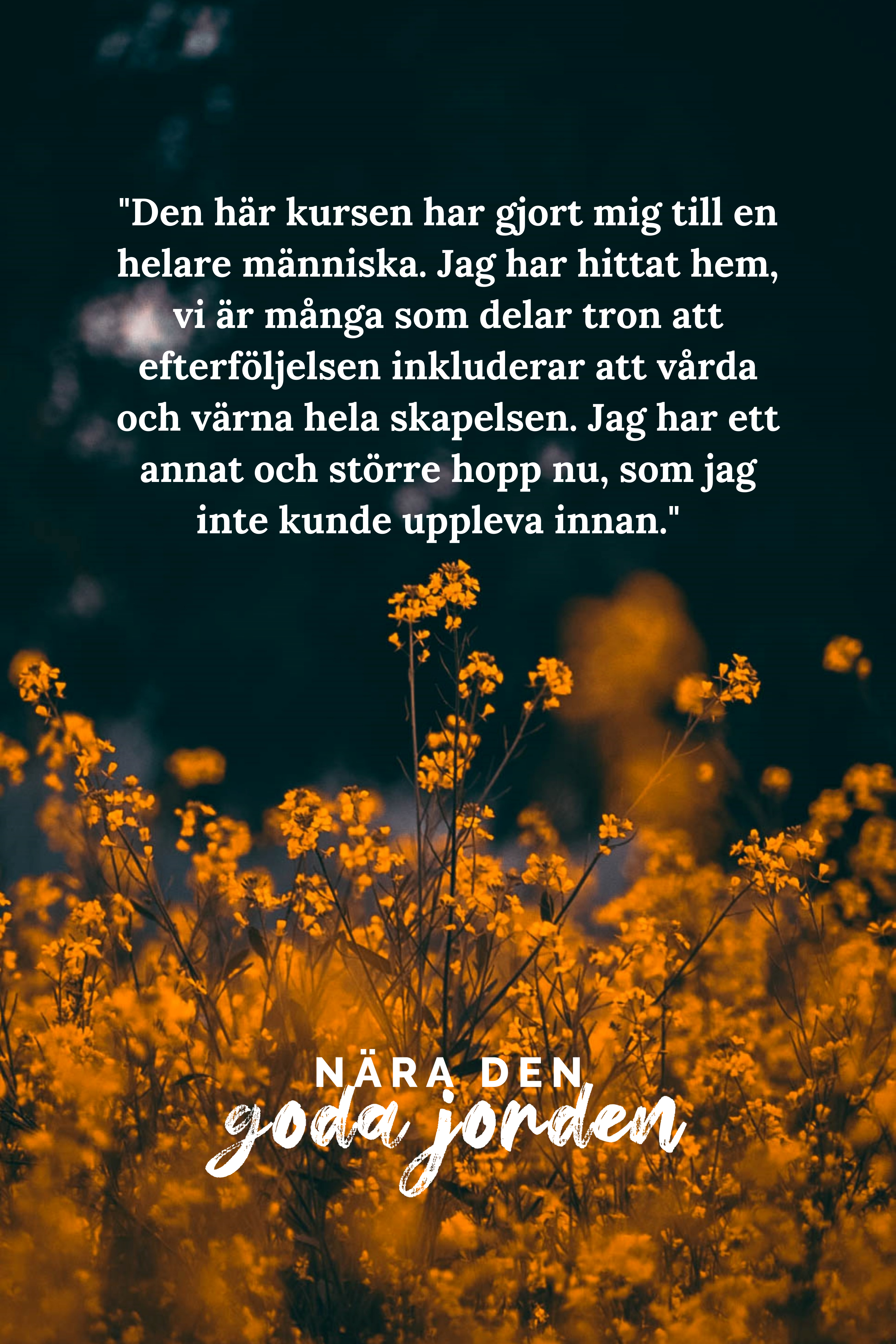 Citat-bild--2-
