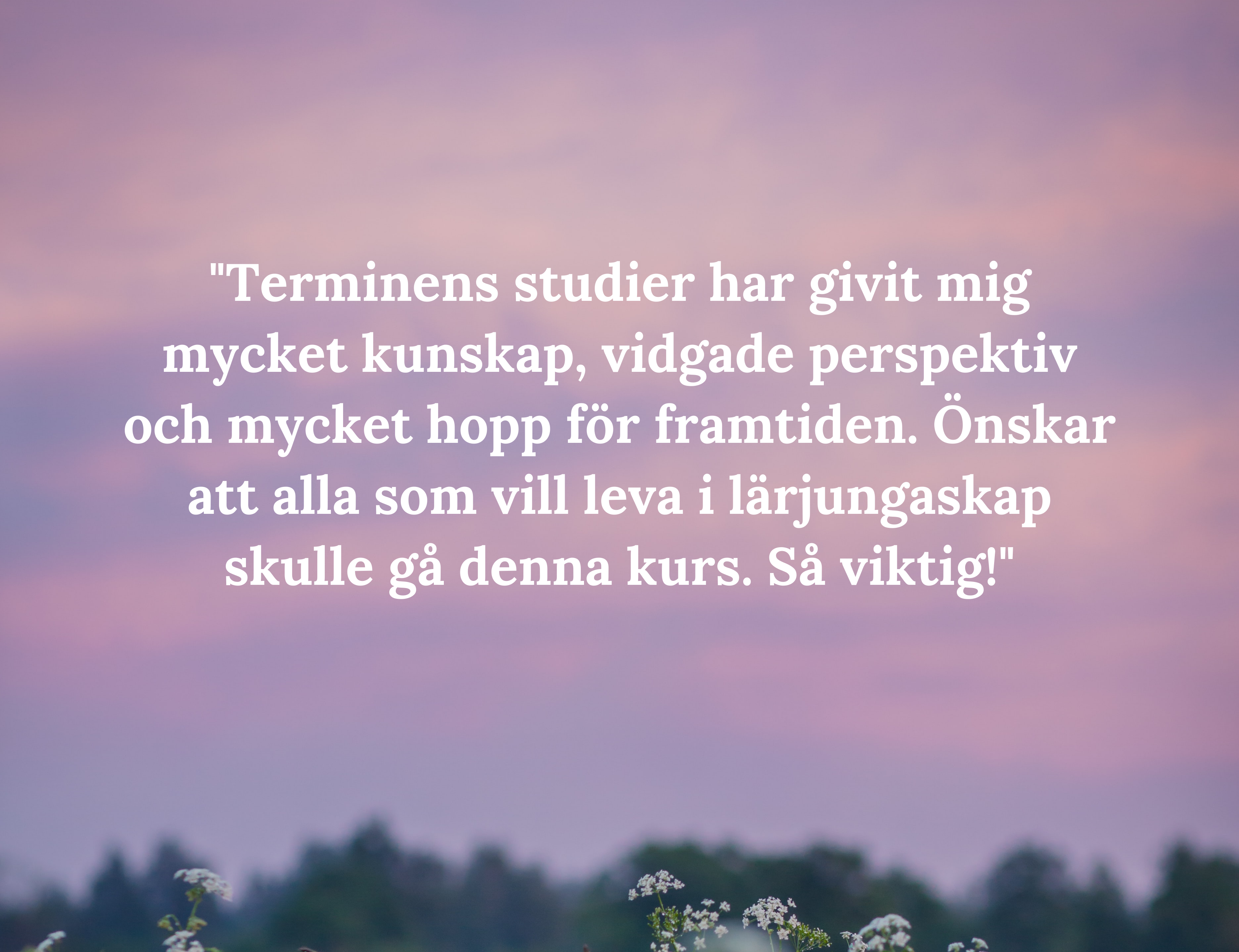Citat-bild--4-b
